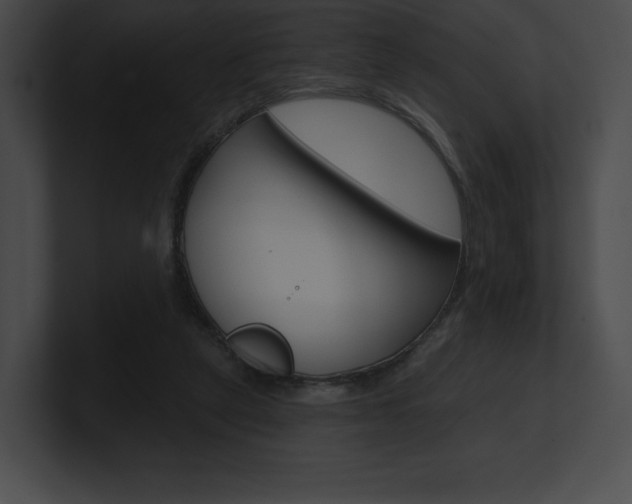 X0000101160257200806270739