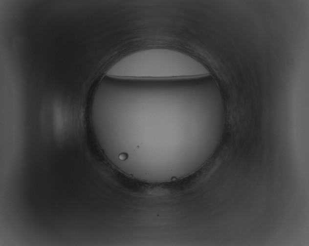 X0000101160258200806270739