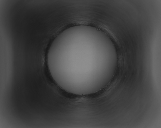 X0000101160259200806270739