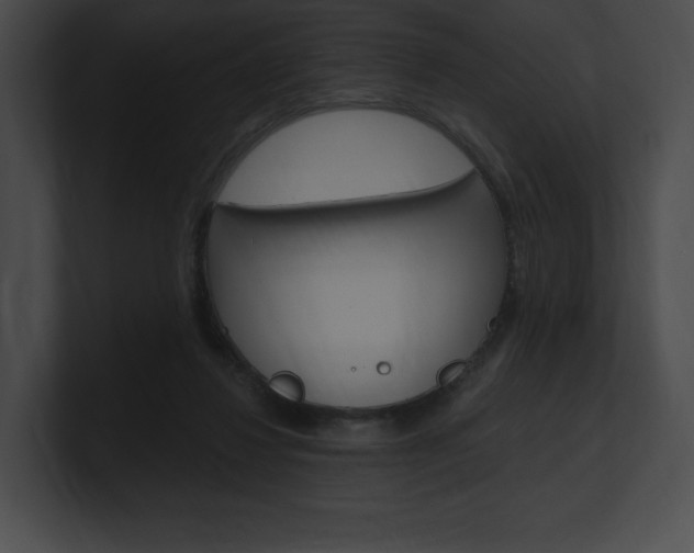 X0000101160260200806270739