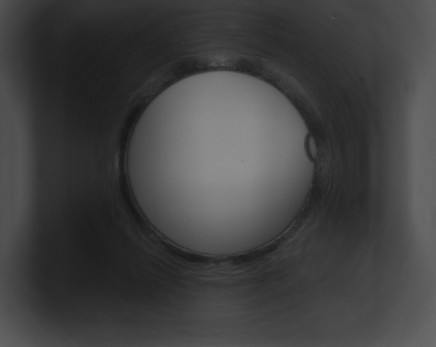 X0000101160262200806270739