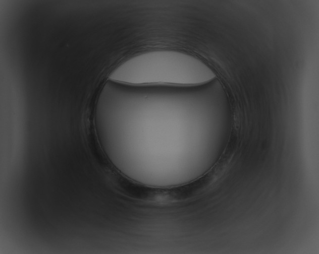 X0000101160264200806270739