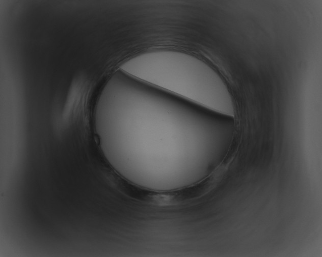 X0000101160265200806270739