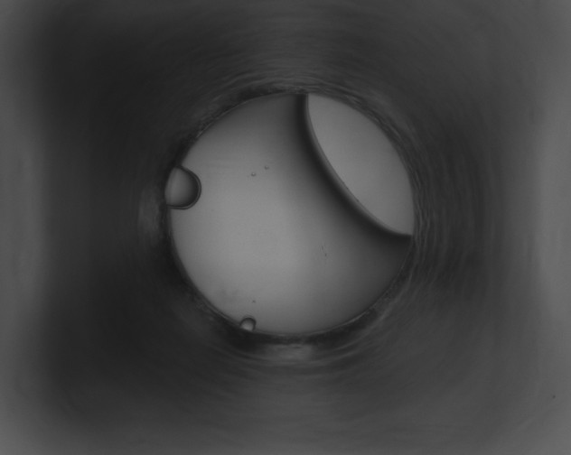 X0000101160266200806270739