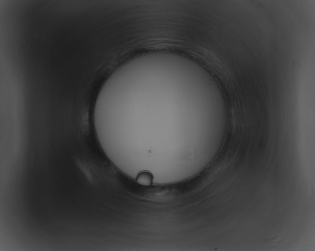 X0000101160267200806270739
