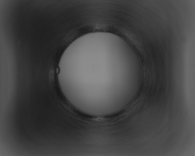 X0000101160269200806270739