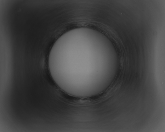 X0000101160270200806270739