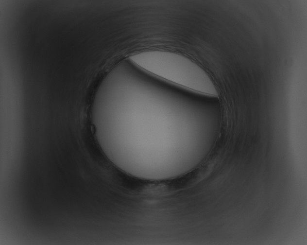 X0000101160271200806270739