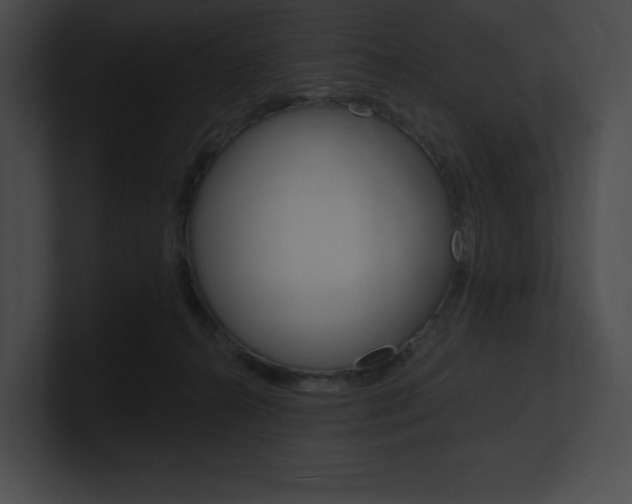 X0000101160272200806270739