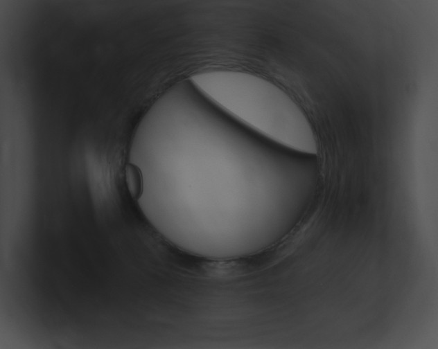 X0000101160273200806270739