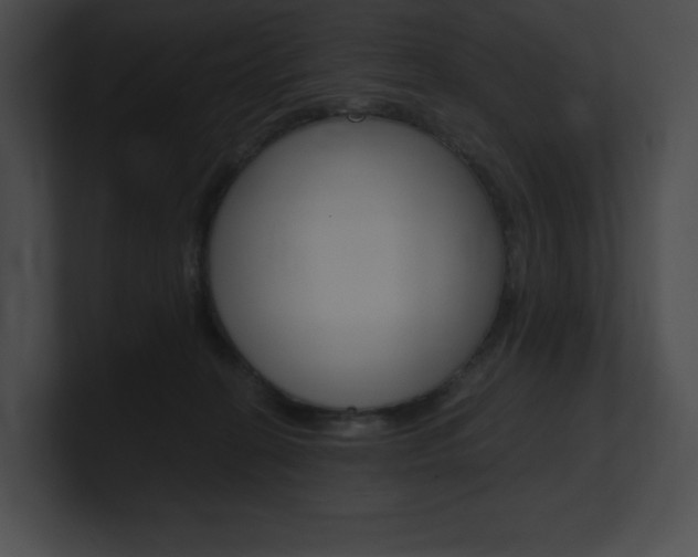 X0000101160274200806270739