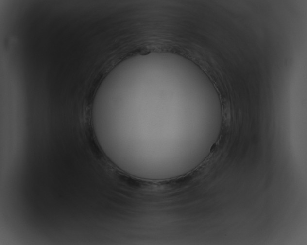 X0000101160276200806270739