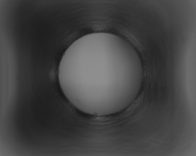 X0000101160277200806270739