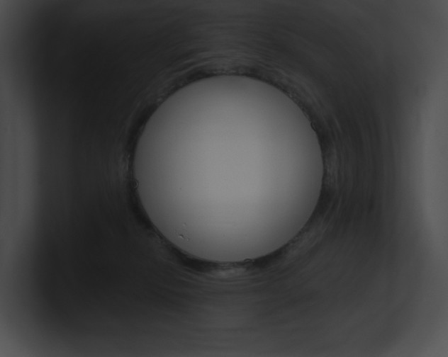 X0000101160278200806270739