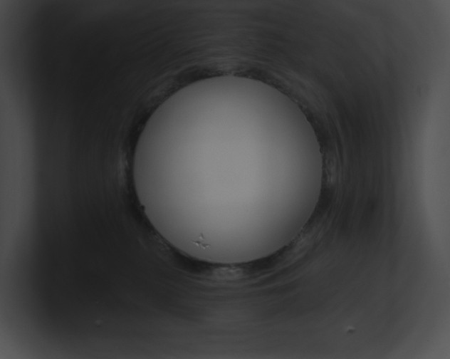 X0000101160279200806270739