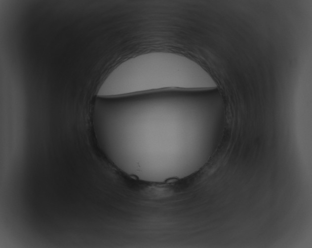 X0000101160280200806270739