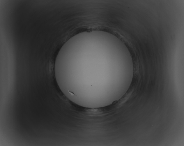 X0000101160281200806270739
