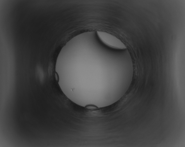 X0000101160283200806270739