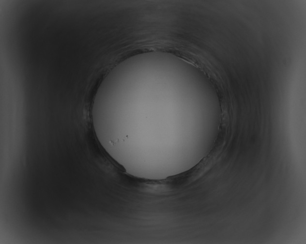 X0000101160284200806270739