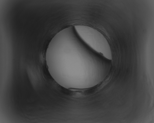 X0000101160285200806270739