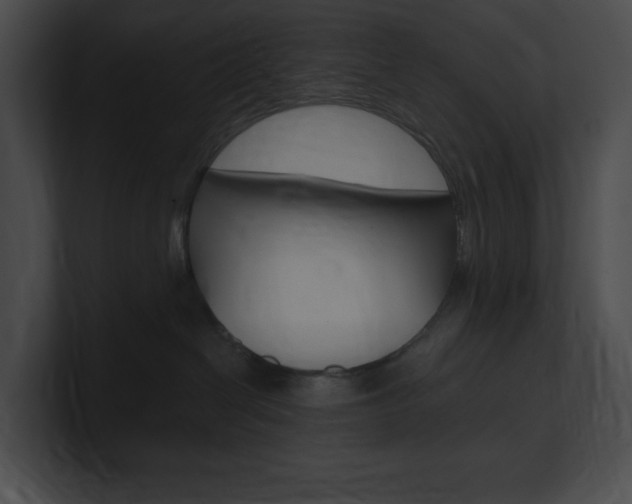 X0000101160286200806270739
