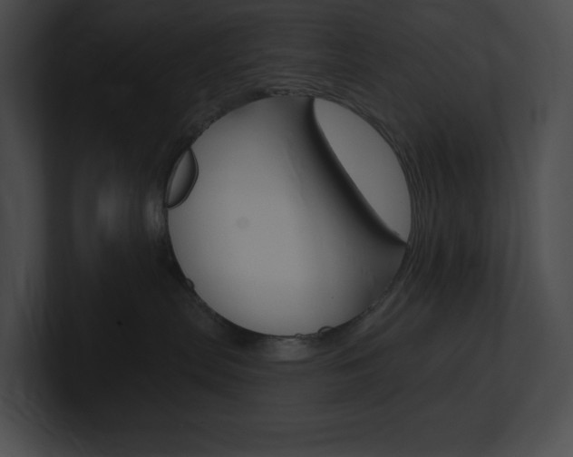 X0000101160287200806270739