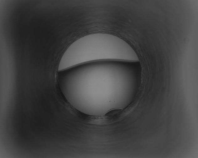 X0000101160288200806270739