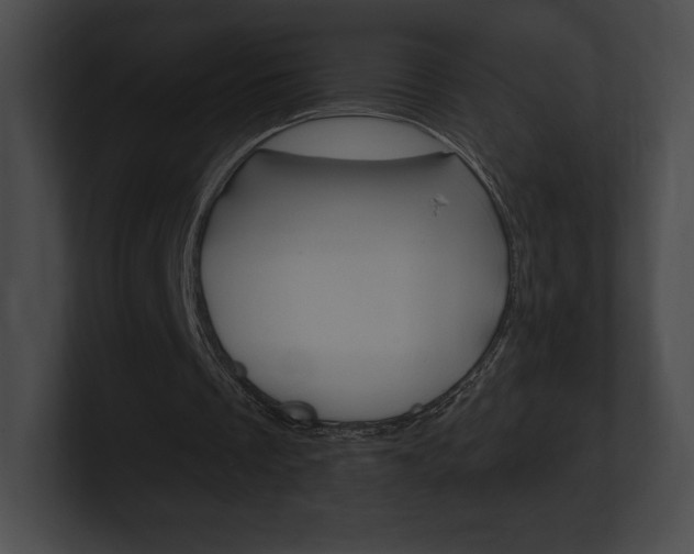X0000101160289200806270739
