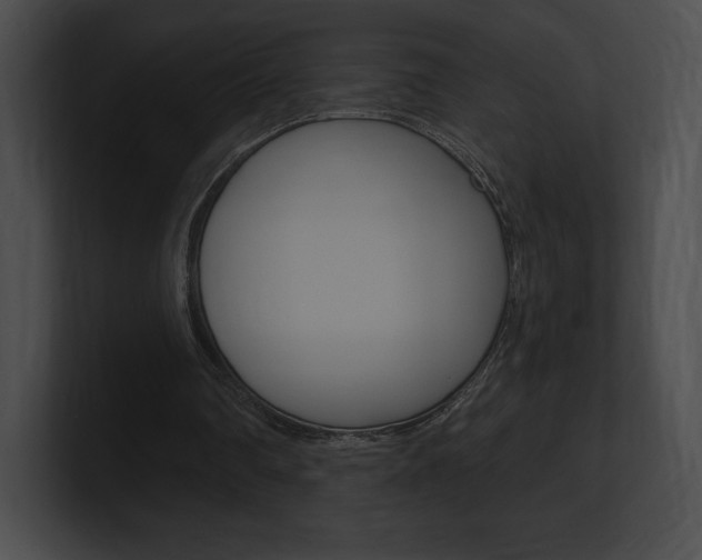 X0000101160290200806270738