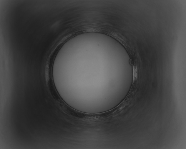 X0000101160291200806270738