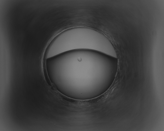 X0000101160292200806270738