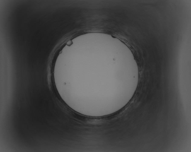 X0000101160293200806270738