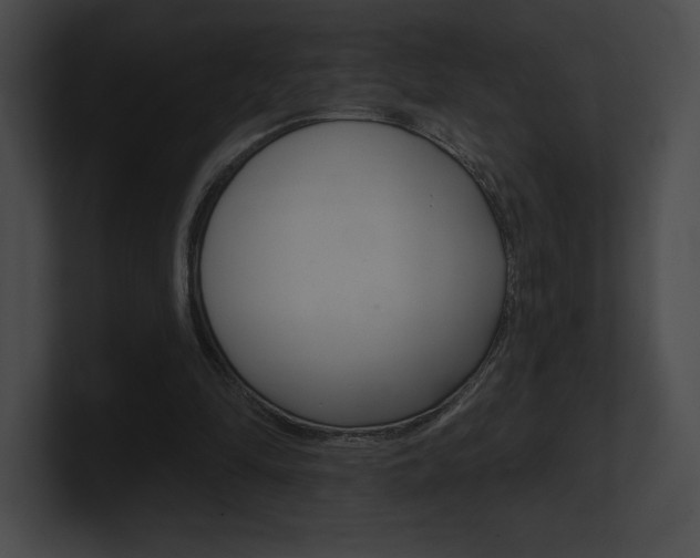 X0000101160294200806270738