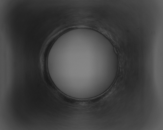 X0000101160295200806270738