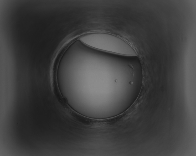 X0000101160296200806270738