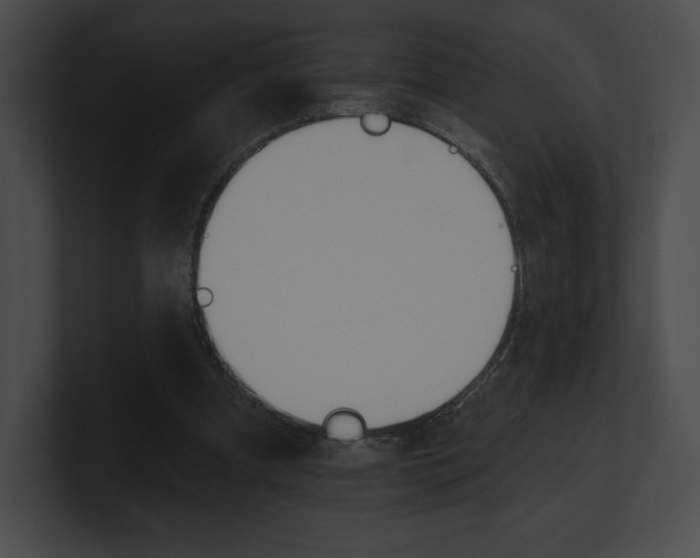 X0000101160297200806270738