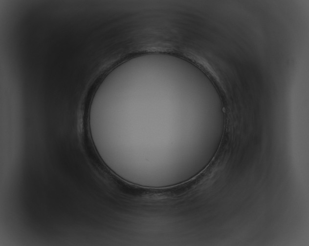 X0000101160299200806270738