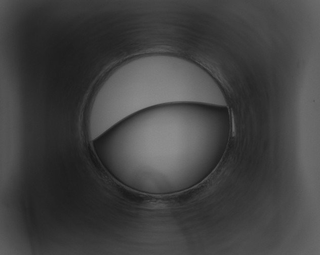 X0000101160300200806270738