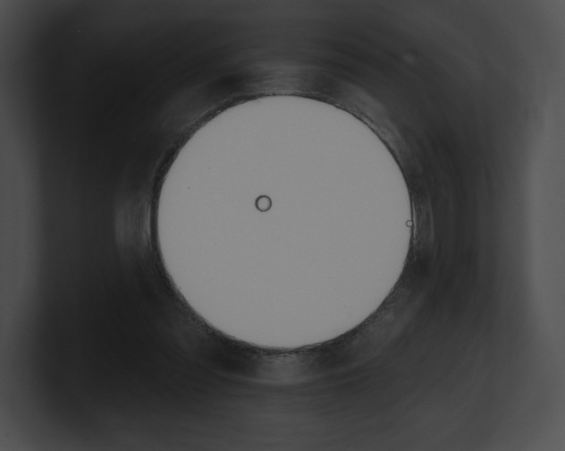 X0000101160301200806270738