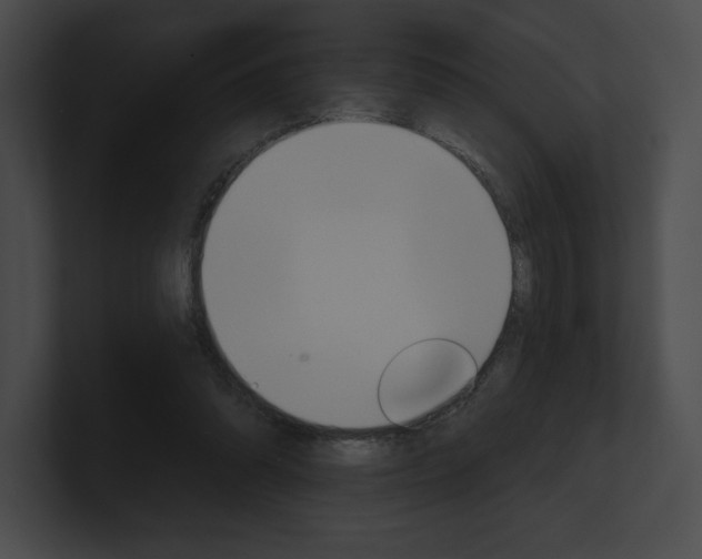 X0000101160302200806270738