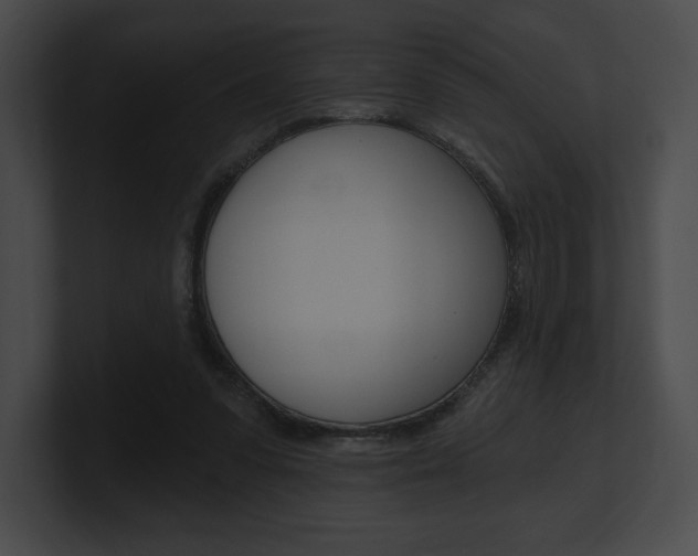 X0000101160303200806270738