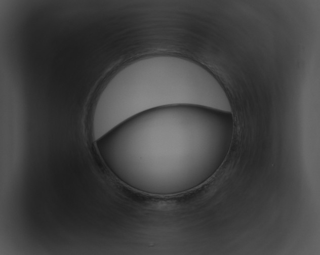 X0000101160304200806270738