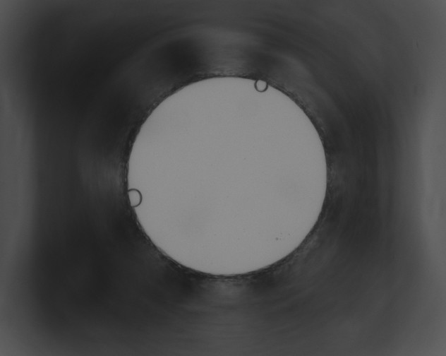 X0000101160305200806270738