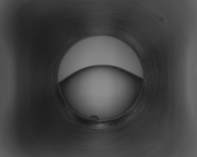 X0000101160312200806270738