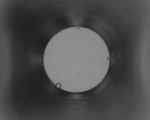 X0000101160313200806270738