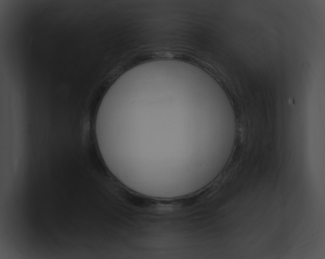 X0000101160314200806270738