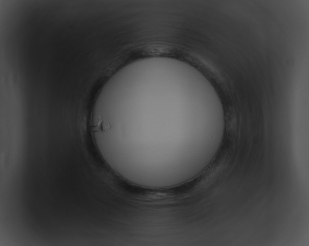 X0000101160315200806270738