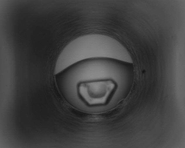 X0000101160316200806270738