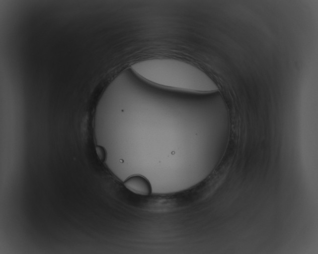 X0000101160319200806270738