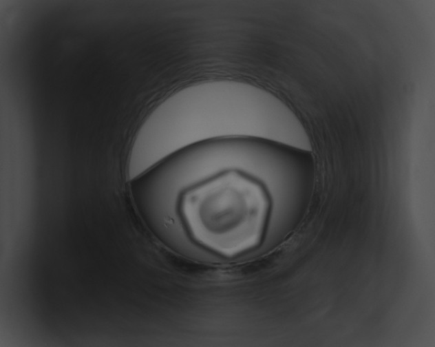 X0000101160320200806270738